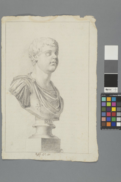 ECL-Bm.13_88-2013-A image ECL-Bm.13_88-2013-A