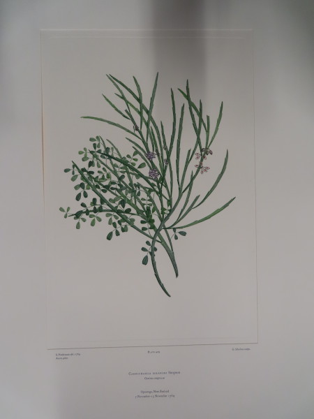 image FDA-E.2916_21_9-2016-A