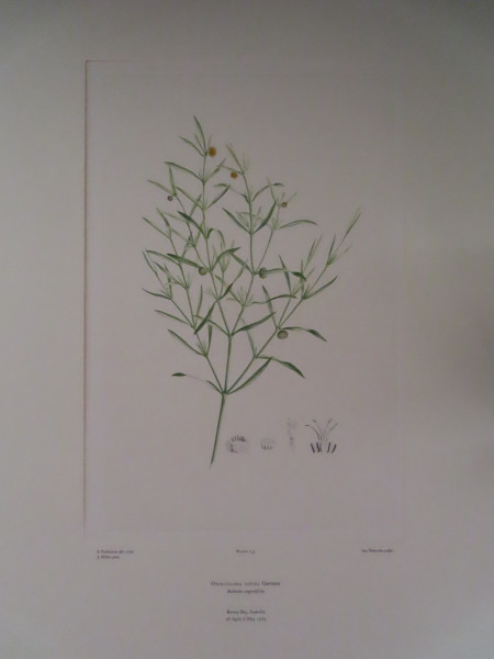 image FDA-E.2916_7_21-2016