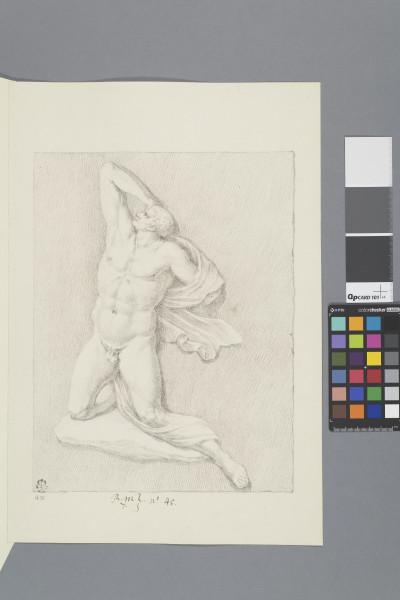 ECL-Bm.7_45-2013-A image ECL-Bm.7_45-2013-A