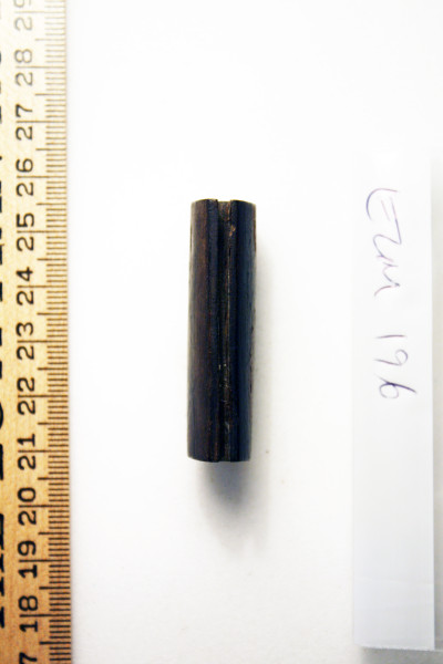 ECM.196-2010-C image ECM.196-2010-C