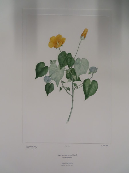 FDA-E.2916_1_25-2016-A image FDA-E.2916_1_25-2016-A