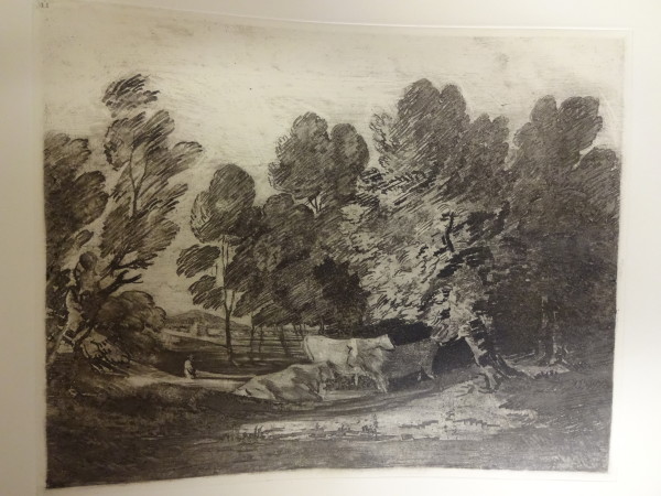 FDA-E.2555_11-2016 image FDA-E.2555_11-2016