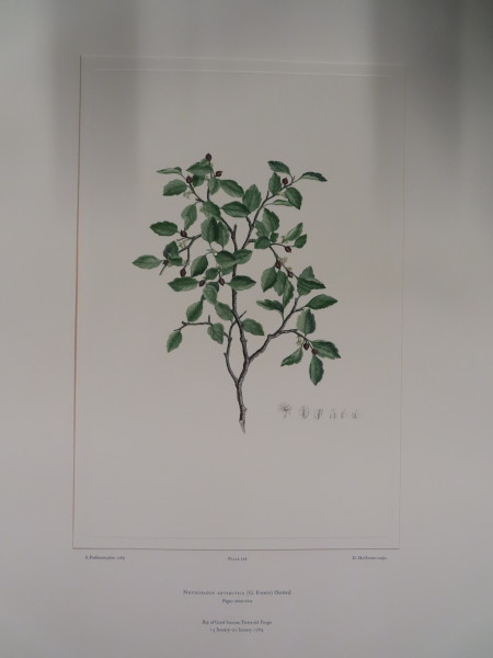 FDA-E.2916_34_15-2016-A image FDA-E.2916_34_15-2016-A