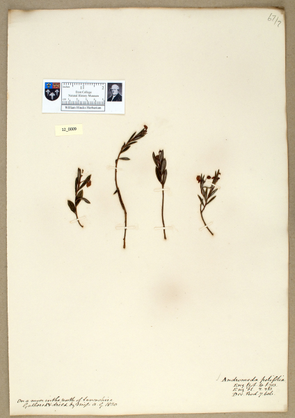 NHM_HH_12.9-2010 image NHM_HH_12.9-2010