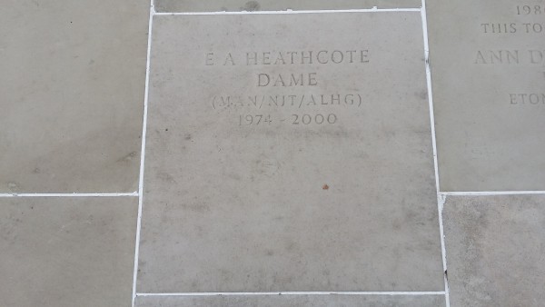 FDA-A.2489-2024 image FDA-A.2489-2024