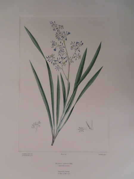 FDA-E.2916_15_10-2016-A image FDA-E.2916_15_10-2016-A