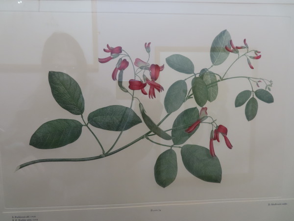 FDA-E.2916_4_10-2016-A image FDA-E.2916_4_10-2016-A