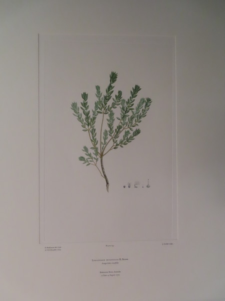 image FDA-E.2916_9_18-2016