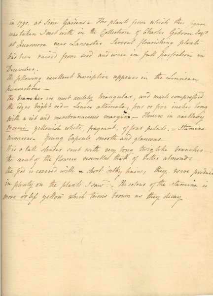 NHM-HH.1_3-2014-A image NHM-HH.1_3-2014-A