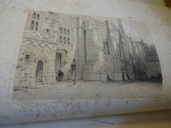 FDA-E.2844_3-2016 image FDA-E.2844_3-2016