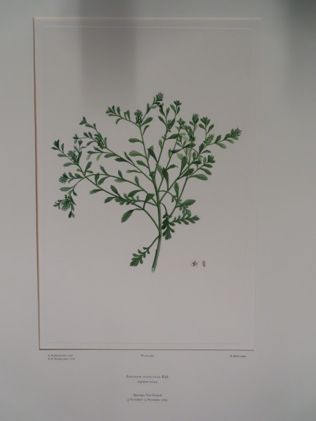 image FDA-E.2916_20_11-2016