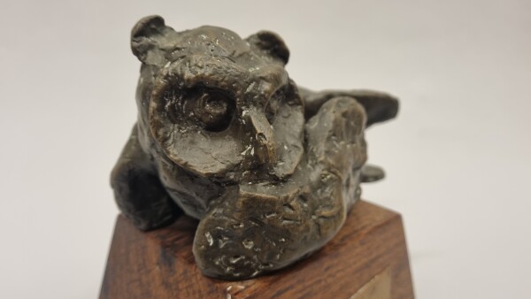 FDA-A.2585-2025-E image FDA-A.2585-2025-E