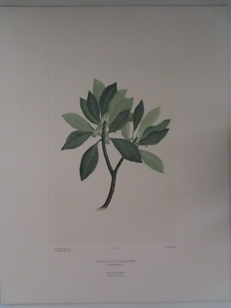 image FDA-E.2916_5_16-2016