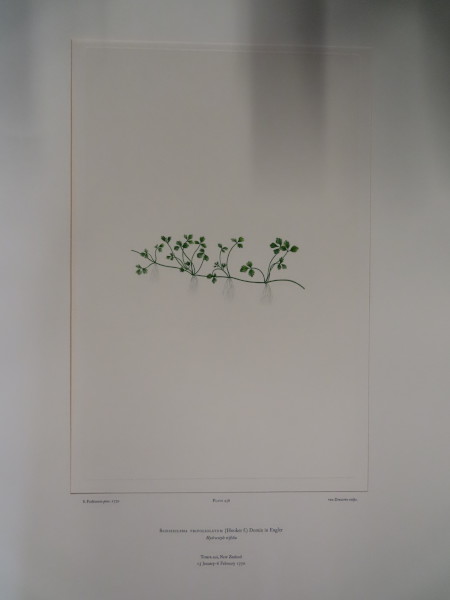 image FDA-E.2916_22_13-2016