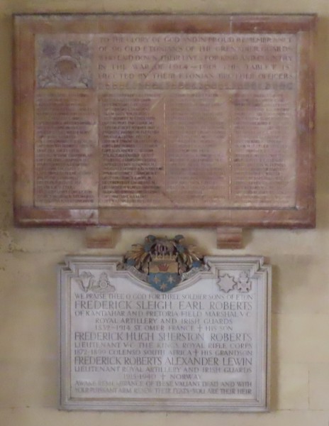 FDA-Sc.207-2022-A image FDA-Sc.207-2022-A