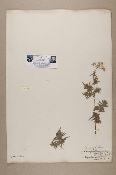 NHM_HH_21.15-2010 image NHM_HH_21.15-2010