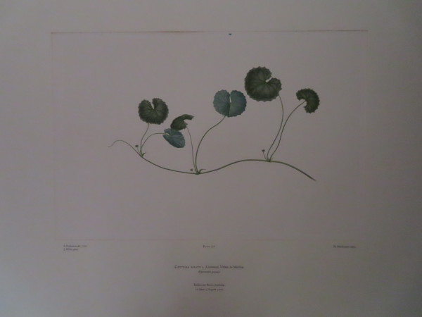 image FDA-E.2916_7_4-2016-A