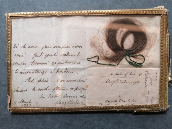 ECL.14_1-2025-A image ECL.14_1-2025-A