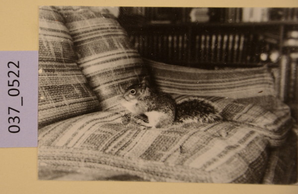 PA-A.37_522-2012 image PA-A.37_522-2012