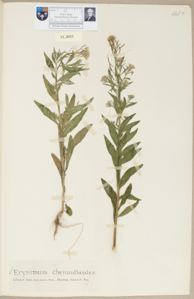 NHM_HH_11.13-2010 image NHM_HH_11.13-2010