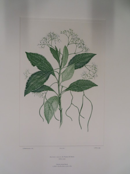 image FDA-E.2916_29_18-2016