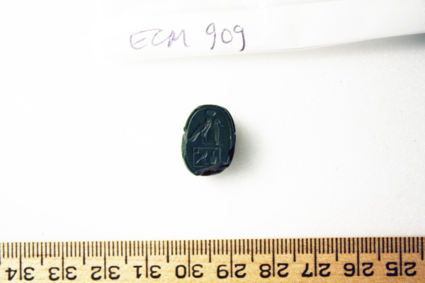 ECM.909-2010-B image ECM.909-2010-B