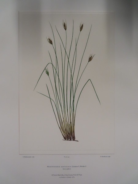 FDA-E.2916_34_22-2016-A image FDA-E.2916_34_22-2016-A