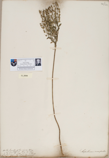 NHM_HH_11.98-2010 image NHM_HH_11.98-2010