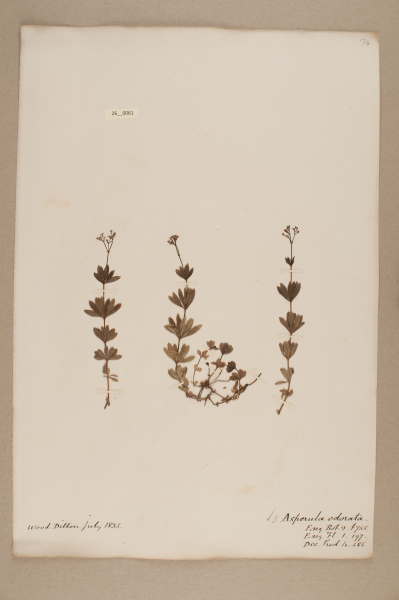 image NHM_HH_26.61-2010