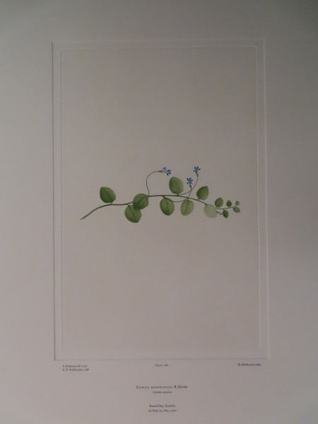 image FDA-E.2916_9_11-2016