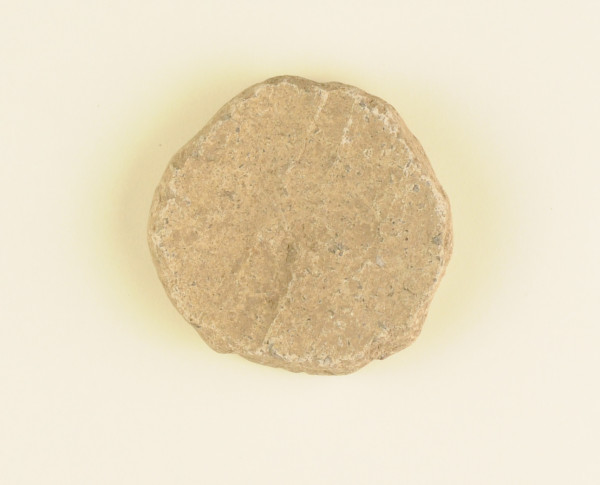 NHM.11-2014 image NHM.11-2014