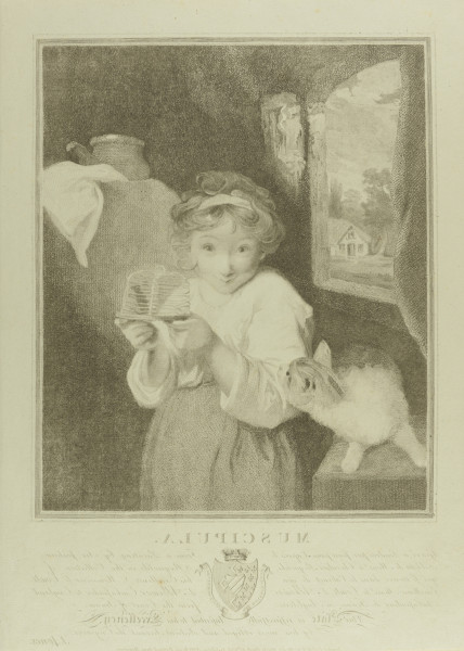 FDA-E.197-2014 image FDA-E.197-2014