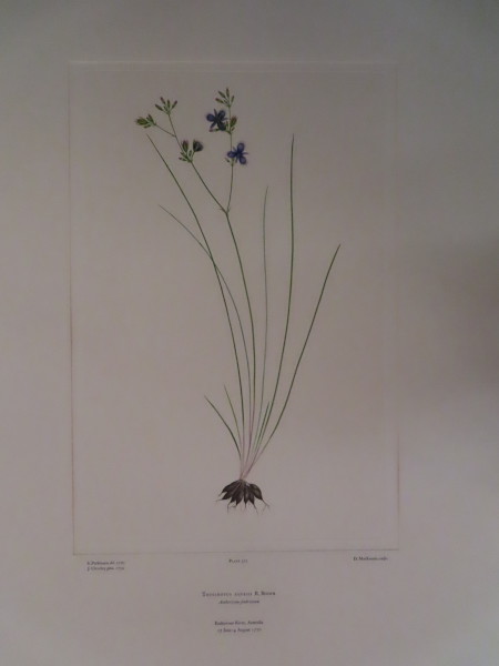 image FDA-E.2916_15_15-2016-A