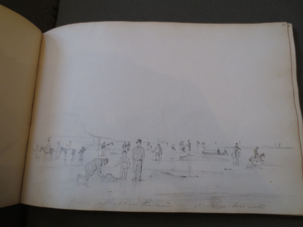 FDA-V.5-2016-ZE image FDA-V.5-2016-ZE