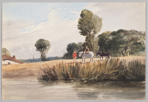 image FDA-D.1374-2015-cr