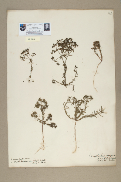 NHM_HH_18.15-2010 image NHM_HH_18.15-2010