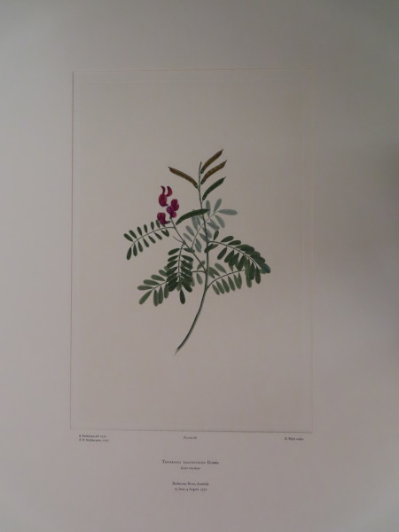 image FDA-E.2916_3_24-2016-A