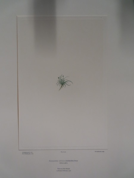 FDA-E.2916_20_16-2016 image FDA-E.2916_20_16-2016