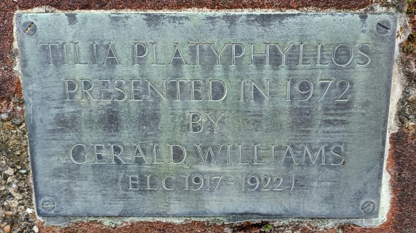 FDA-A.2480-2024 image FDA-A.2480-2024