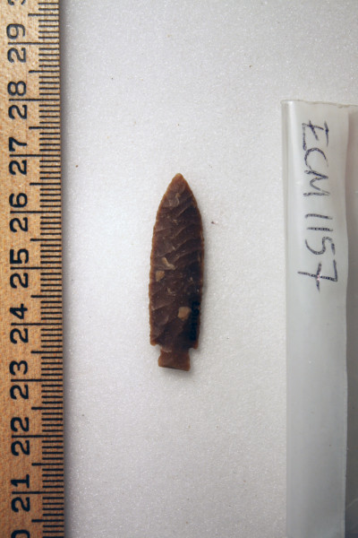 ECM.1157-2010-B image ECM.1157-2010-B