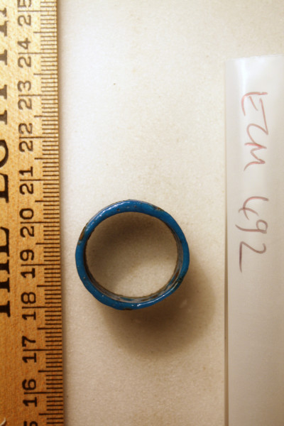 ECM.492-2010-C image ECM.492-2010-C