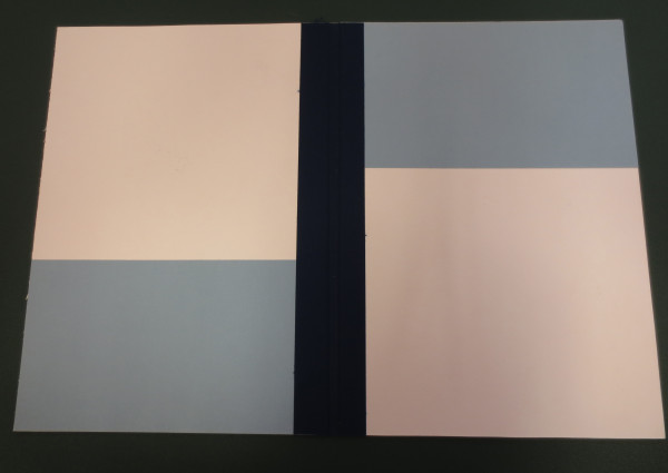 FDA-D.1599_1-2018-A image FDA-D.1599_1-2018-A