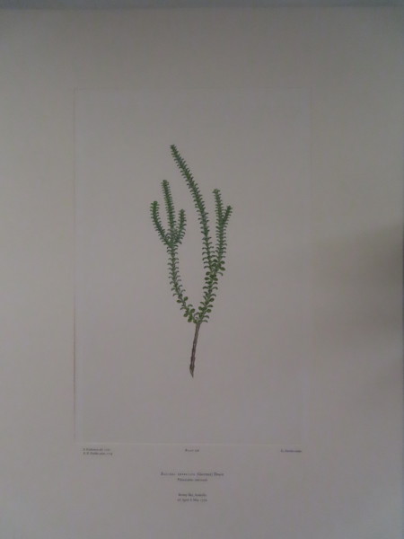 image FDA-E.2916_5_21-2016-A