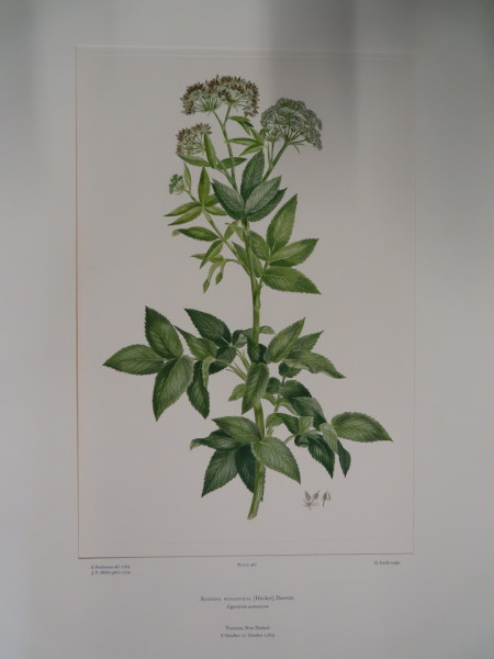 image FDA-E.2916_22_18-2016