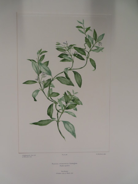 image FDA-E.2916_24_19-2016