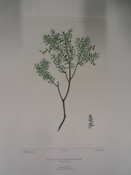 image FDA-E.2916_26_26-2016-A