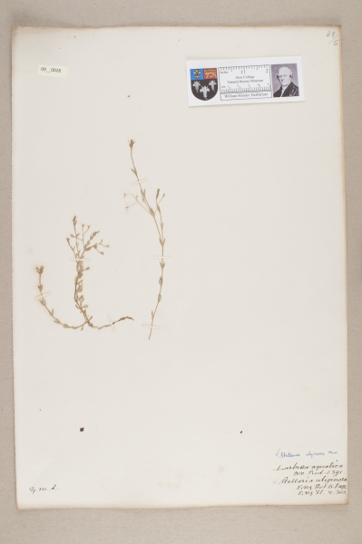 NHM_HH_9.28-2010 image NHM_HH_9.28-2010