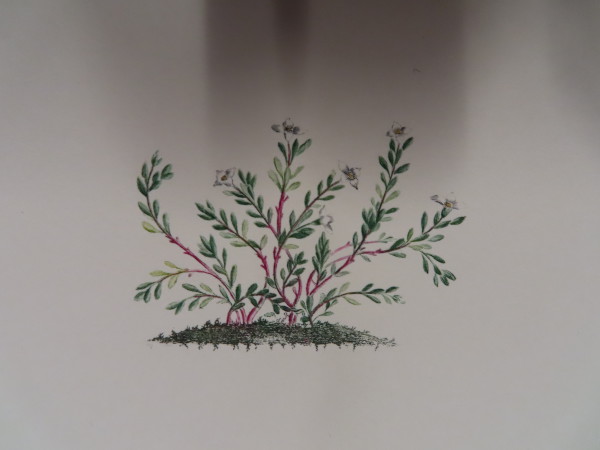 FDA-E.2916_32_19-2016-A image FDA-E.2916_32_19-2016-A