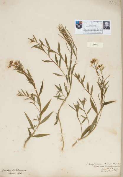 NHM_HH_11.16-2010 image NHM_HH_11.16-2010